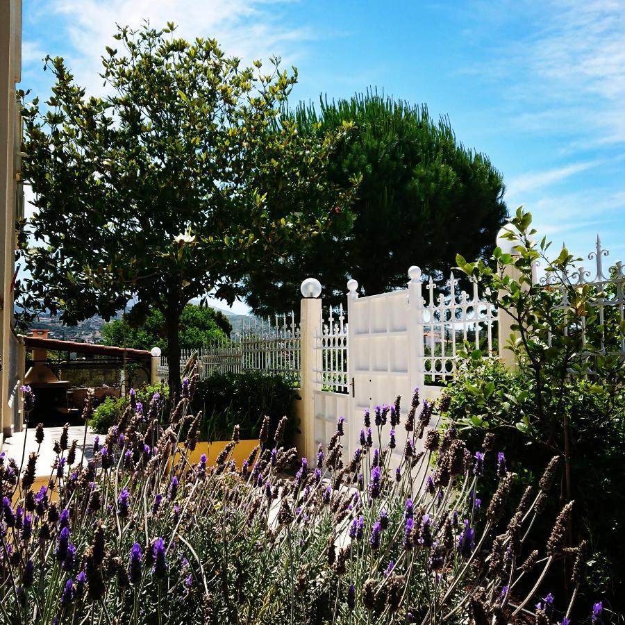 Agia Marina  Villa Filoxenia All Seasons, Near Airport, Sea, Athens מראה חיצוני תמונה