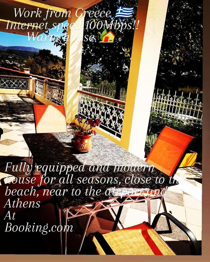 Agia Marina  Villa Filoxenia All Seasons, Near Airport, Sea, Athens מראה חיצוני תמונה