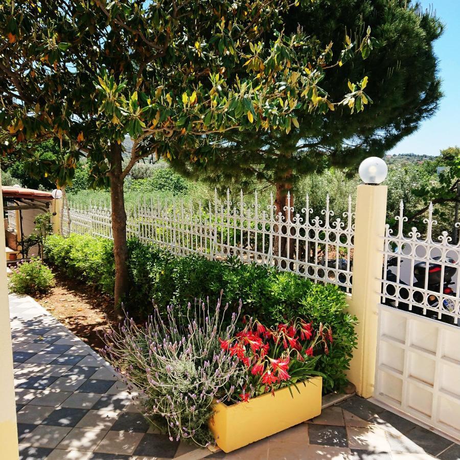 Agia Marina  Villa Filoxenia All Seasons, Near Airport, Sea, Athens מראה חיצוני תמונה