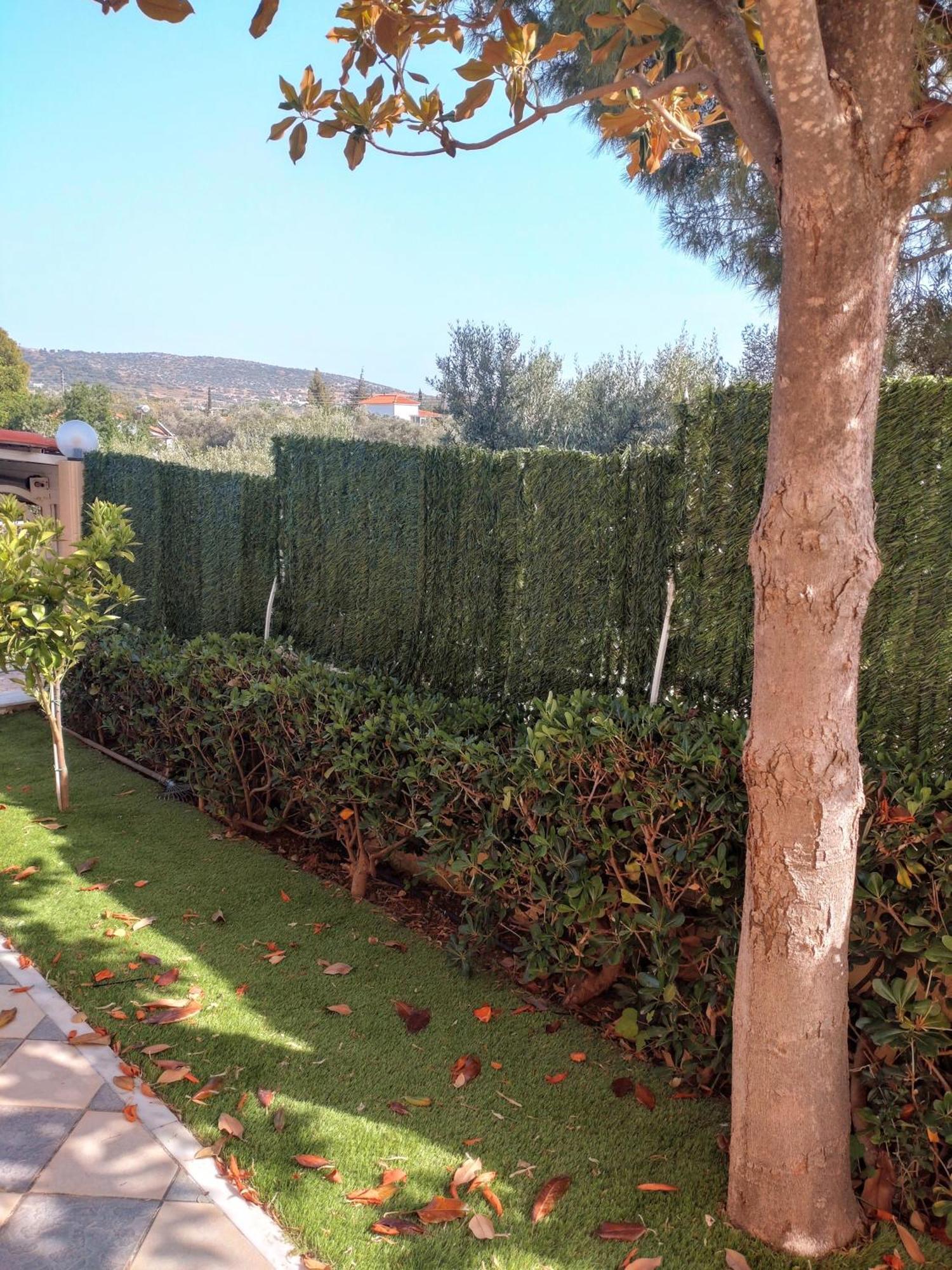 Agia Marina  Villa Filoxenia All Seasons, Near Airport, Sea, Athens מראה חיצוני תמונה