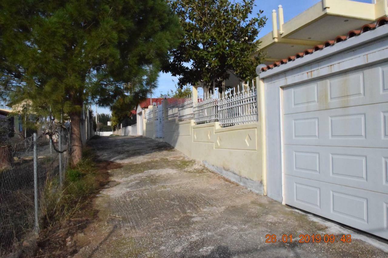 Agia Marina  Villa Filoxenia All Seasons, Near Airport, Sea, Athens מראה חיצוני תמונה
