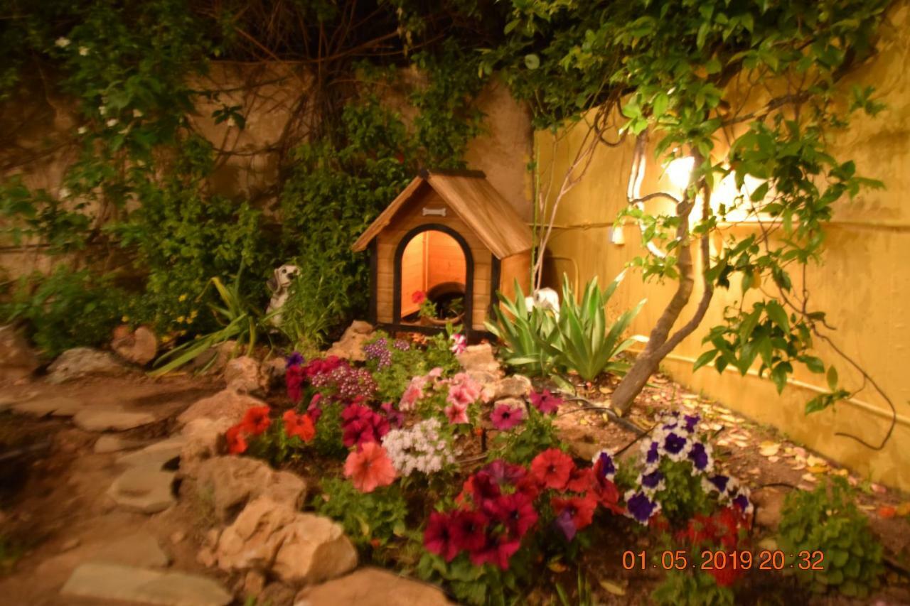 Agia Marina  Villa Filoxenia All Seasons, Near Airport, Sea, Athens מראה חיצוני תמונה