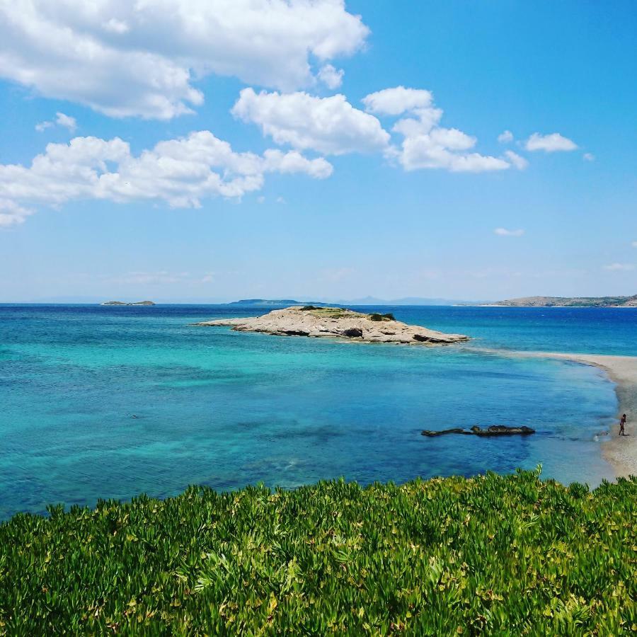 Agia Marina  Villa Filoxenia All Seasons, Near Airport, Sea, Athens מראה חיצוני תמונה