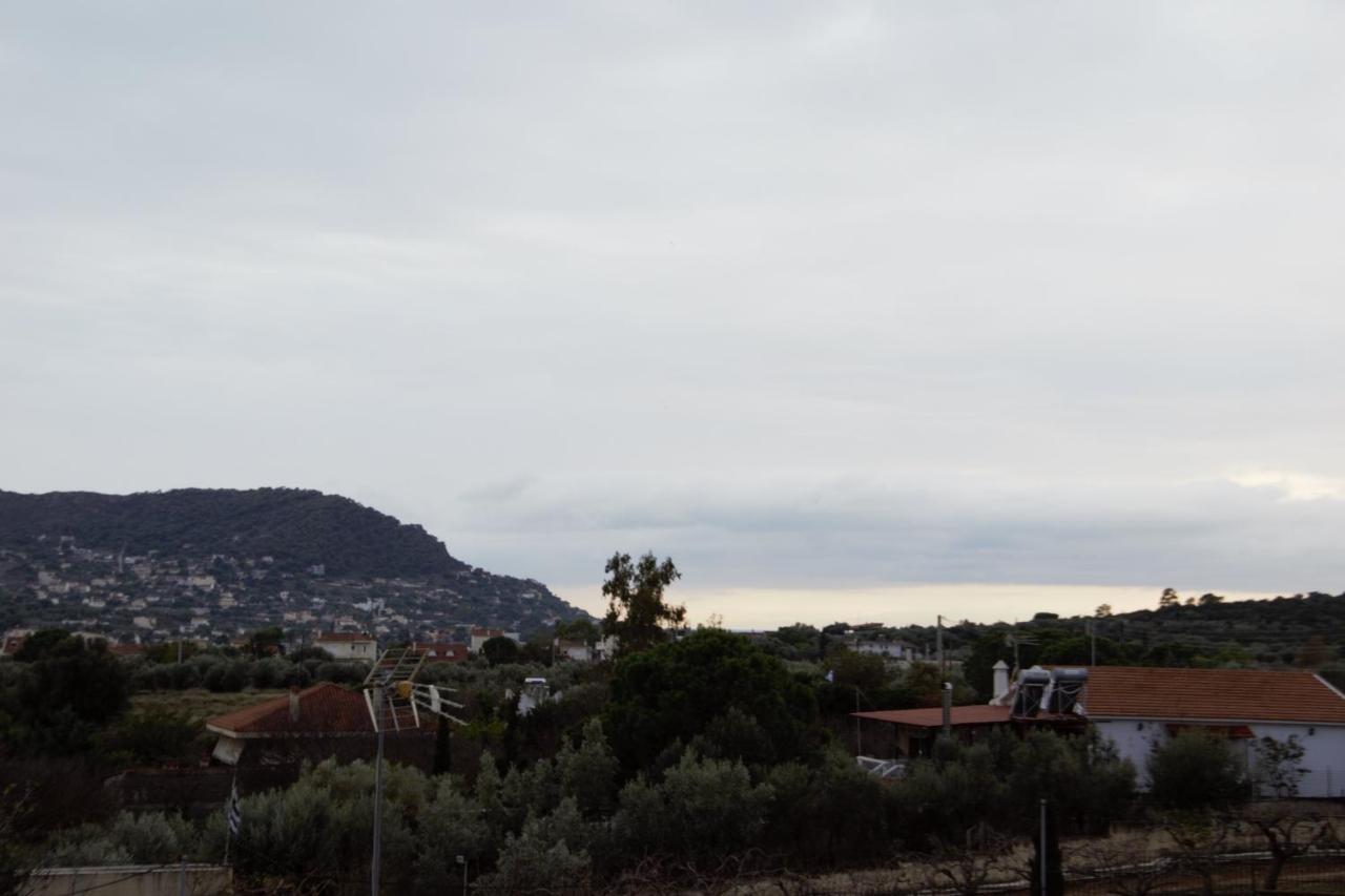 Agia Marina  Villa Filoxenia All Seasons, Near Airport, Sea, Athens מראה חיצוני תמונה